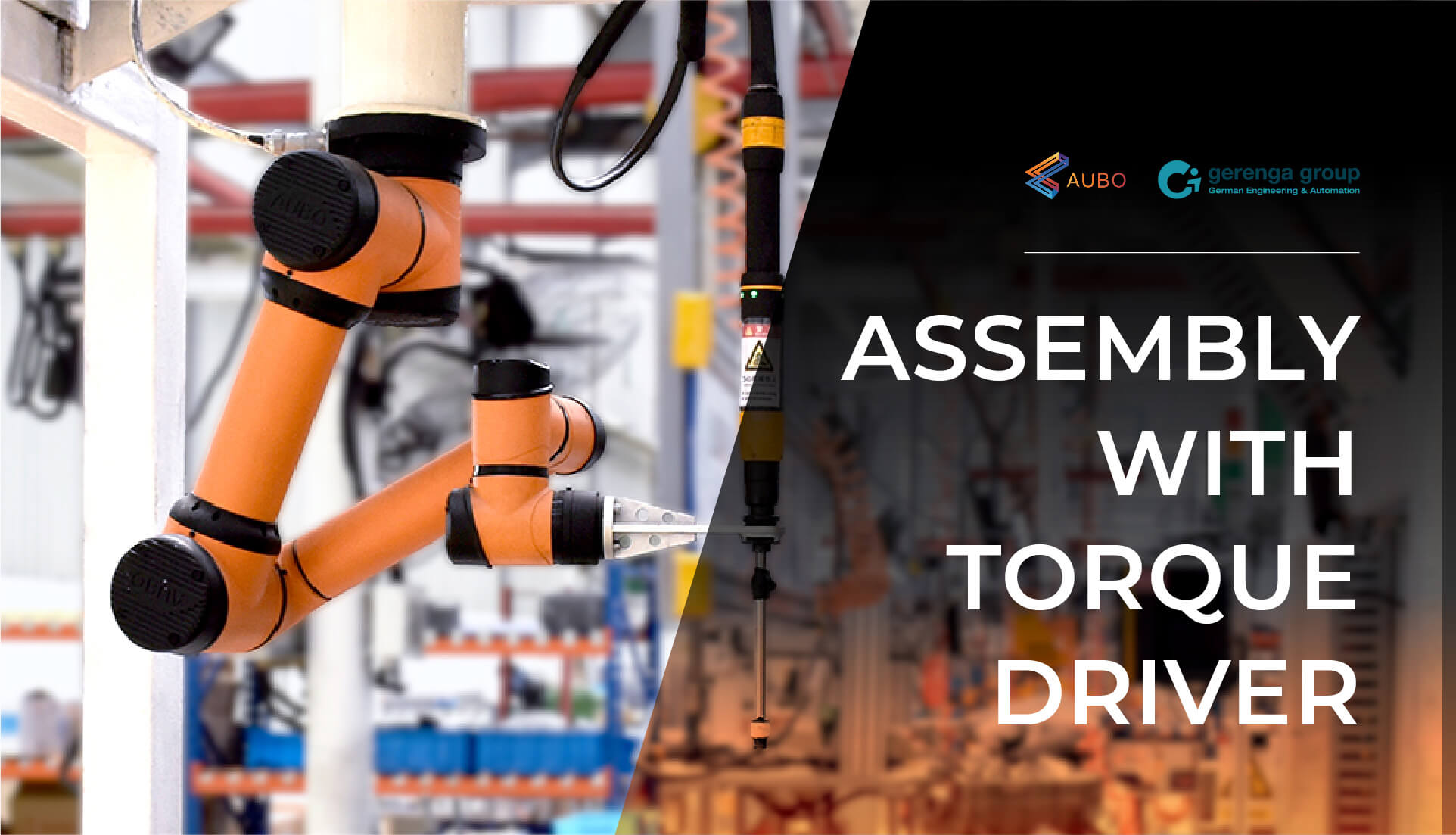 Assembly with Torque Driver